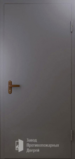 Фото двери «Техническая дверь №1 однопольная» в Одинцово